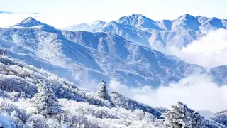 ❄️ 겨울 덕유산 향적봉 산행 가이드: 곤돌라 예약부터 상고대 명소, 준비물까지 총정리