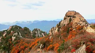 🍁 속리산 가을 단풍 산행 가이드: 세조길·문장대·천왕봉 코스부터 법주사까지 총정리