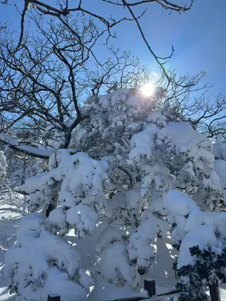 소백산 비로봉 겨울 산행: 눈꽃 터널·칼바람 대비와 천동·어의곡 코스 정리