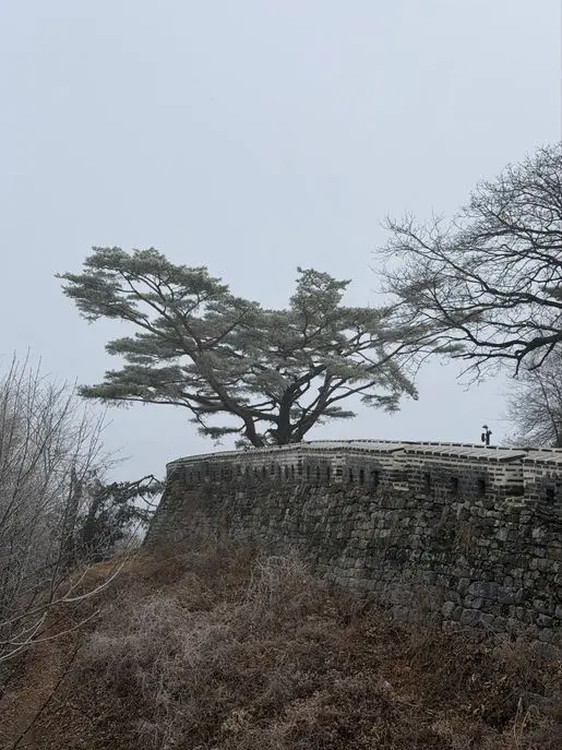 서울 근교 최고의 성곽 트레킹, 남한산성