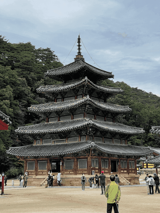 🍁 속리산 가을 단풍 산행 가이드: 세조길·문장대·천왕봉 코스부터 법주사까지 총정리 사진 6
