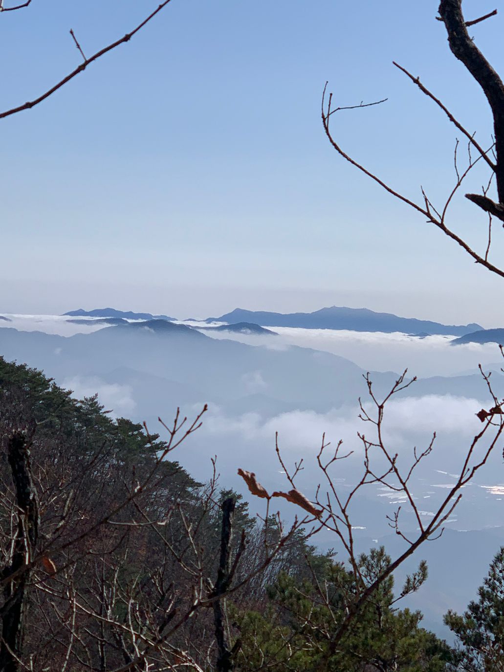 앙상한 나뭇가지 너머로 보이는 운해와 먼 산 능선