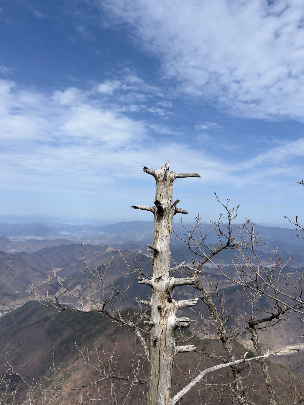 능선에 홀로 선 고사목과 멀리 이어진 산줄기