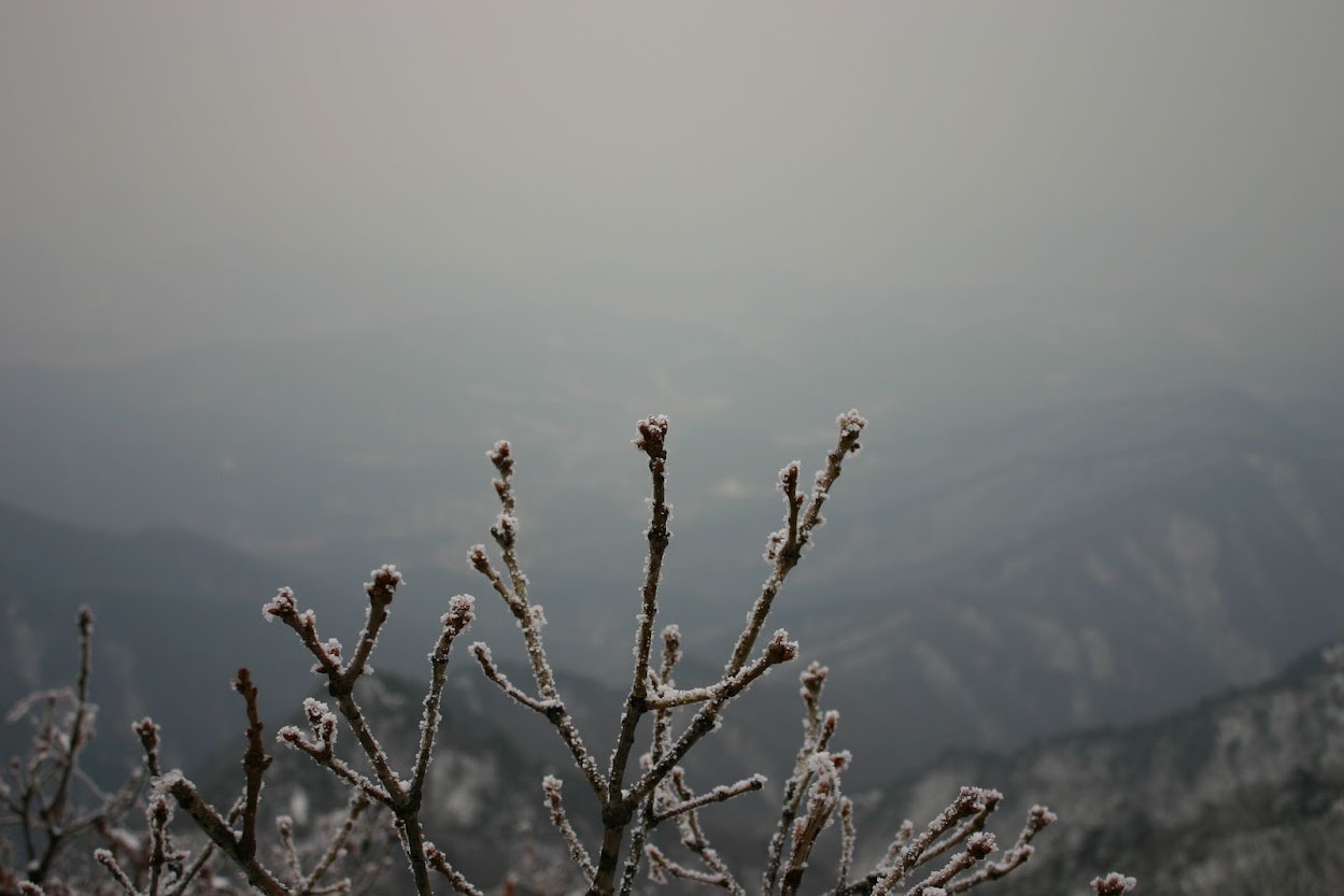 용문사 쪽 들머리에 세워진 용문산 등산 안내도