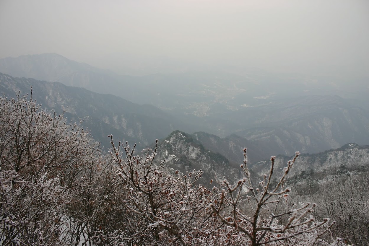 안개 속 산줄기를 배경으로 상고대가 맺힌 나뭇가지